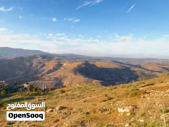 المصطبه جرش