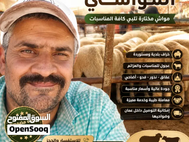 ذبح وبيع عقائق نذور فدو ولجميع المناسبات الاجتماعية كافة