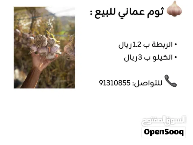 ثوم عماني للبيع بسعر 3 ريال فقط