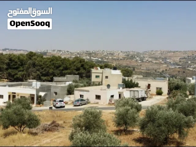 Residential Land for Sale in Amman Naour