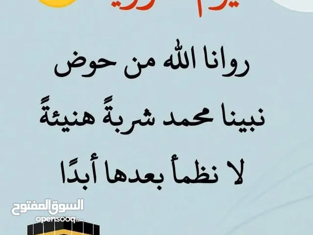 صيصان للبيع
