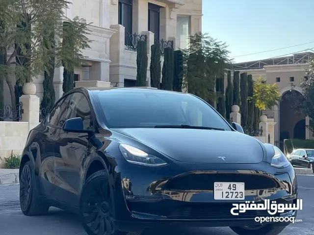 Tesla y long range 2020
