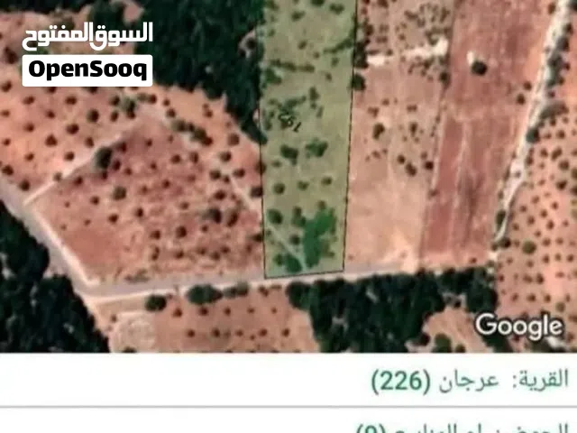 Mixed Use Land for Sale in Ajloun Other