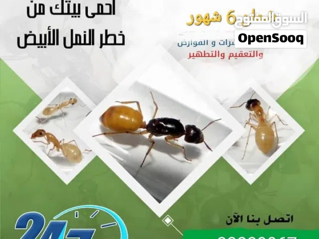 مكافحة  الحشرات والزواحف والقوارض