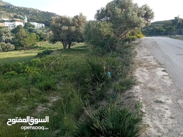 Mixed Use Land for Sale in Tétouan Other