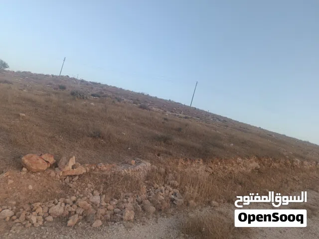 Residential Land for Sale in Amman Almih St