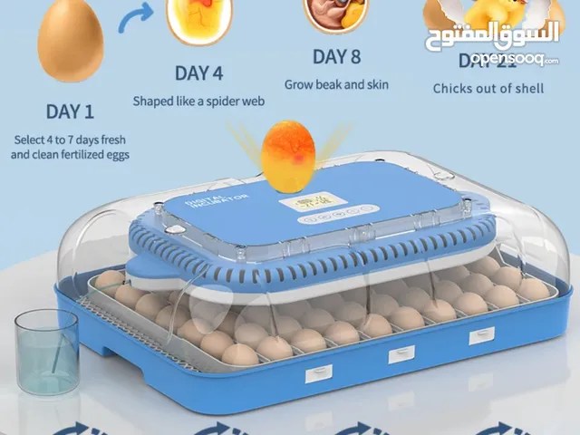 فقاسة دجاج اوتوماتيك بالكامل 30 بيضة 52 بيضة 56 بيضة 70 بيضة