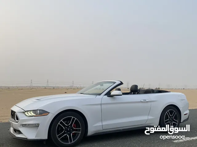 Ford mustang convertible Shelby