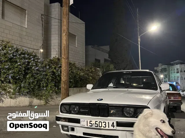 كلبه أنثى الفصيله سامويدمأخذه كل المطاعيم الي همه 7 العمر سنه وشهر الكلبه ماشاءالله عليها