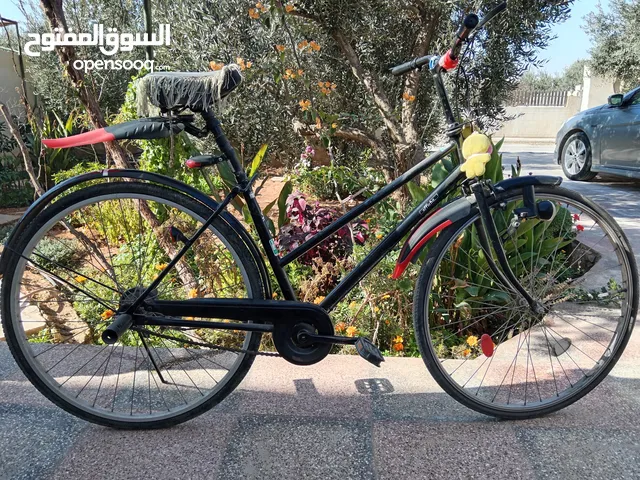 بسكليت.   ظظنتن