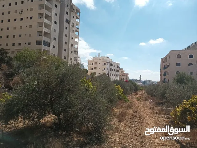 Mixed Use Land for Sale in Hebron Bir AlMahjir