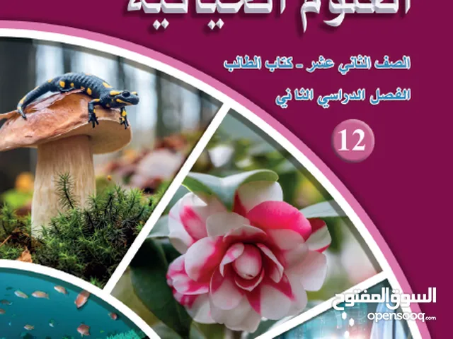 Other in Irbid
