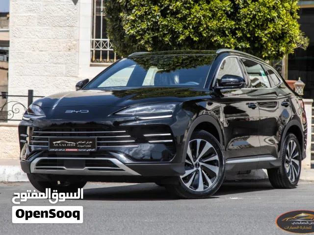 2026, بي واي دي, سونج برو