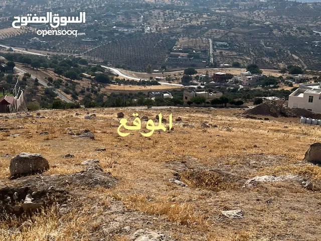 أرض بمساحة 2.257 م2 قرية صروت حوض البلد منطقة مرتفعة وإطلالة مميزة