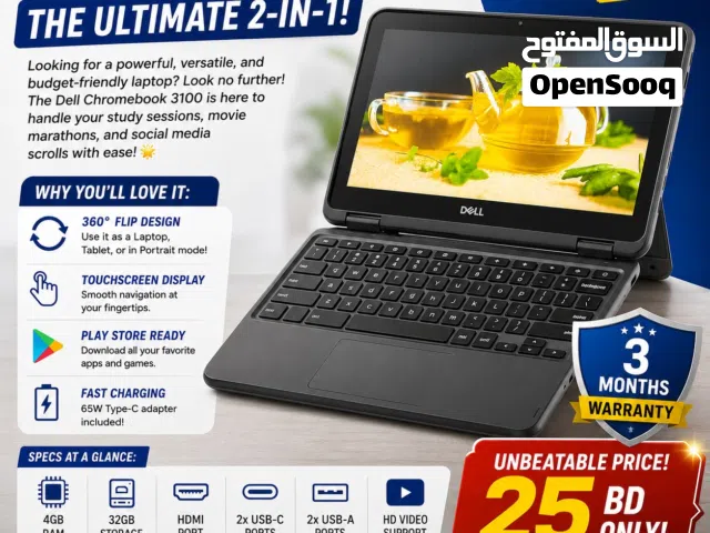 DELL CHROMEBOOK 3100