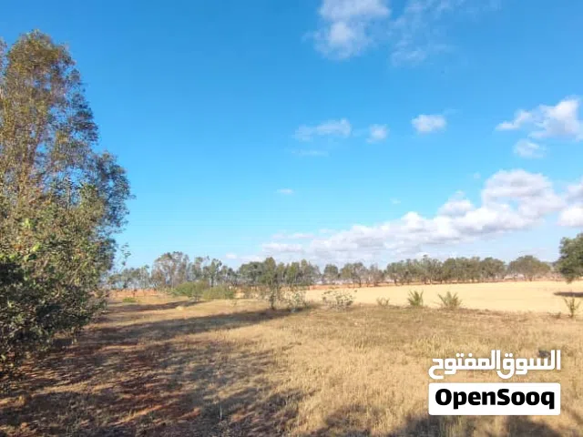 Mixed Use Land for Sale in Tocra Other