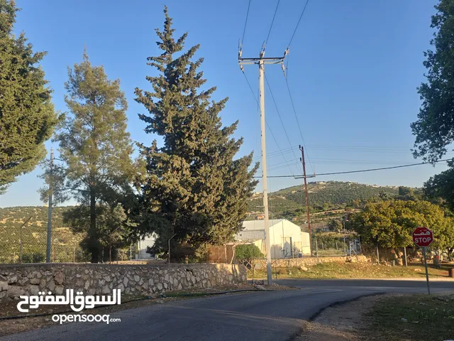 98 m2 2 Bedrooms Apartments for Sale in Salt Ein Al-Basha