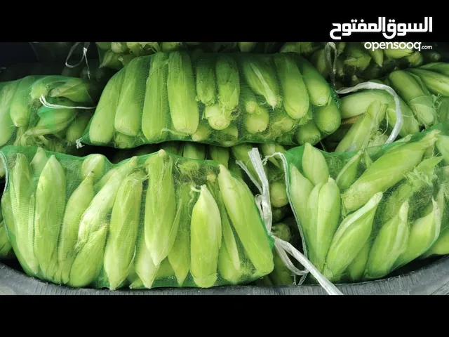 ذره سكريه قطاف اليوم عليها عرض بريالين ونص