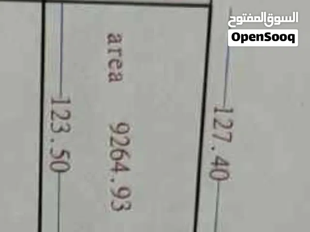 هكتار في بئر هويسه طريق بئر غنم