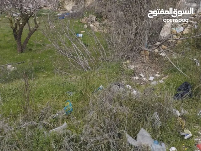 Mixed Use Land for Sale in Hebron Other