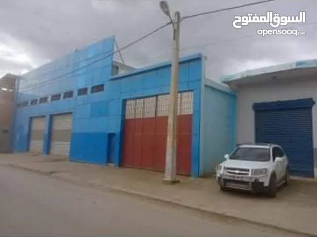  Shops in Guelma Other