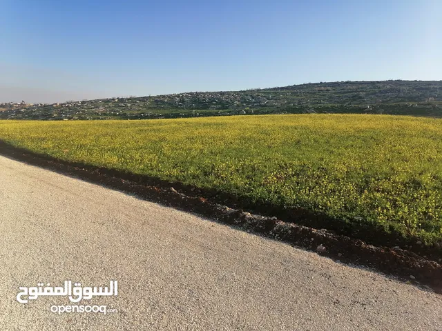 Mixed Use Land for Sale in Madaba Mai'n