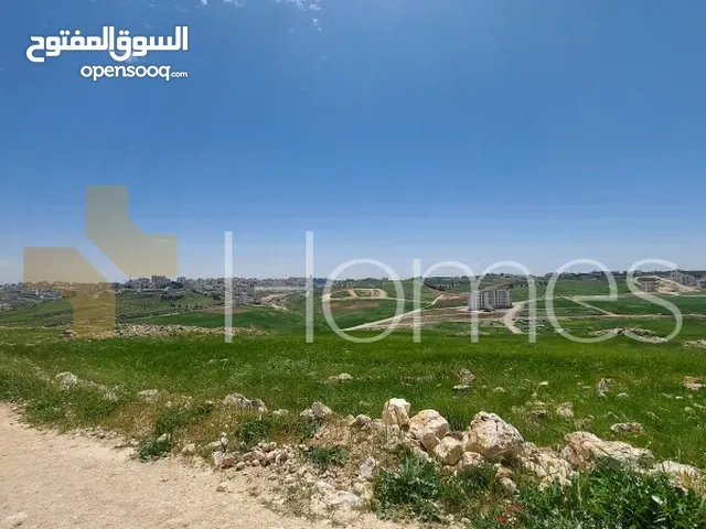 Residential Land for Sale in Amman Hjar Al Nawabilseh