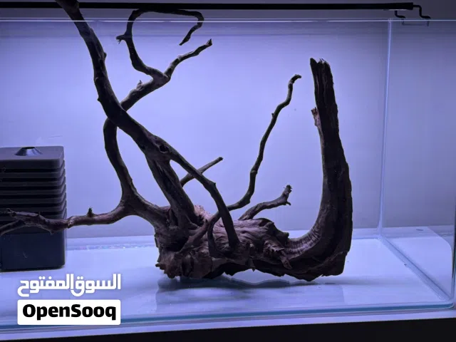 حوض سمك زجاجي أنيق متكامل 70 لتر مع تجهيزات كاملة وإضاءة احترافية وفلترة قوية جاهز للاستخدام