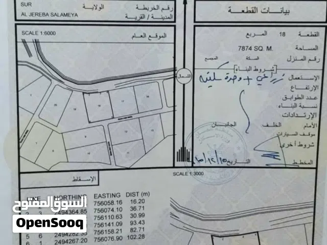 أرض زراعيه في صور للبيع