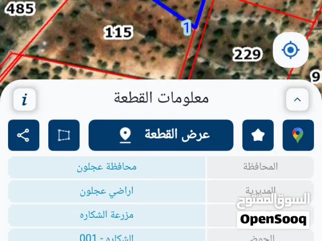 الأرض زراعيه