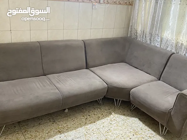 تخم رصاصي نضيف