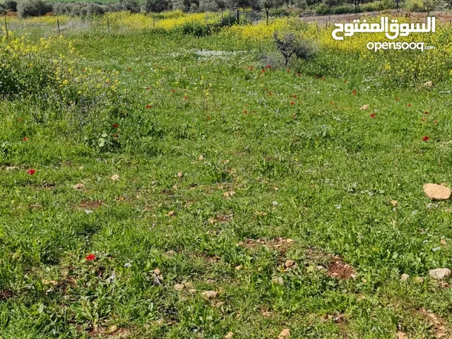 بيع ارض بيت قاد