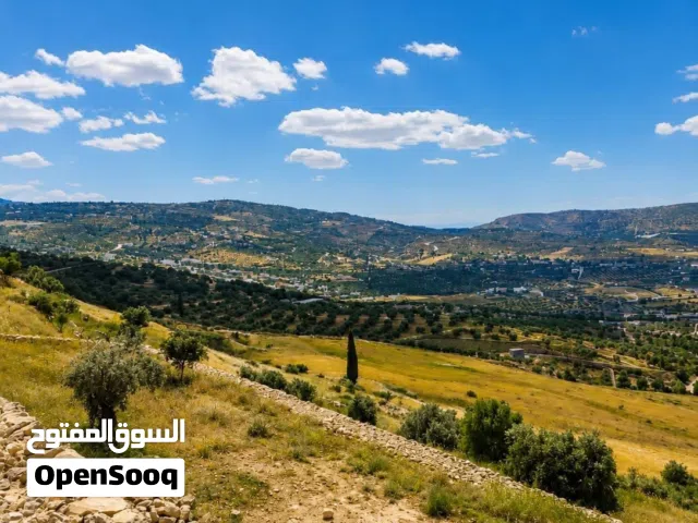 فرصة استثماريه نادره في جلعد