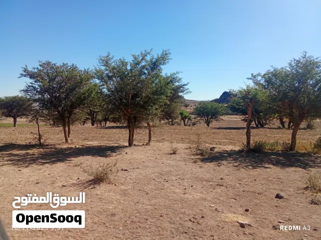 عررررض ارضيه للبيع في صباحه