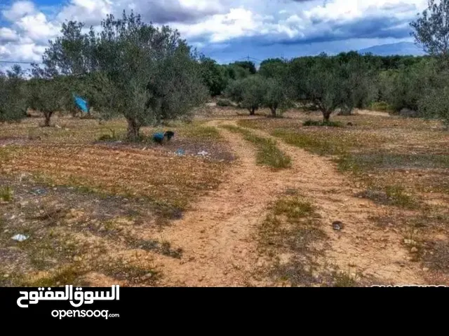 نص هكتار مثمر مع فيلا للبيع في زغوان