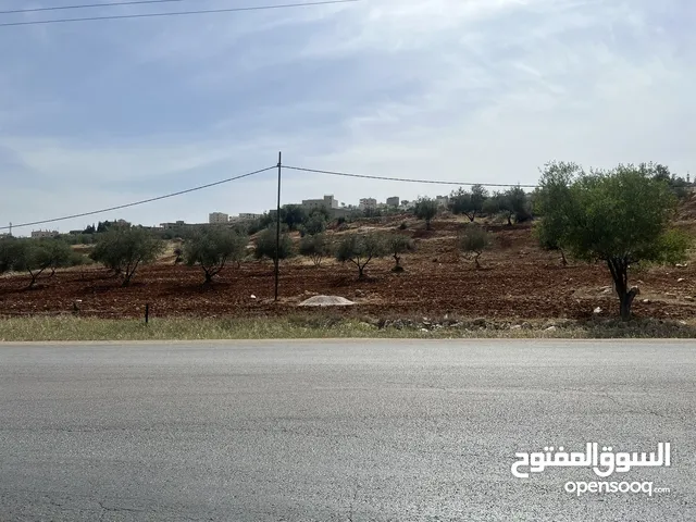Mixed Use Land for Sale in Jerash Other