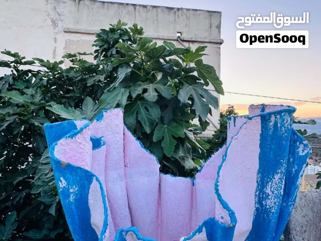 قوارات بجميع الأشكال