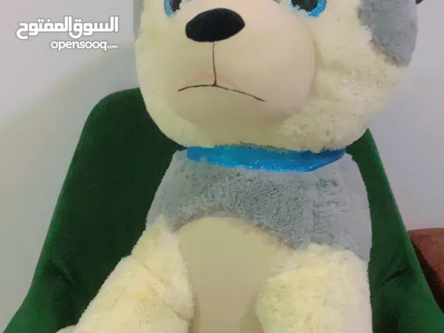 دب هاسكي كبير للبيع