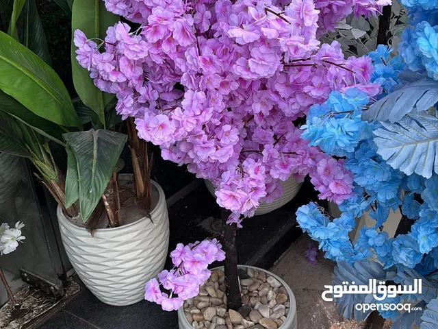 اصاري وورد صناعي خامة وشكل رائع وجميل لتزيين المكاتب والفيلات والشركات