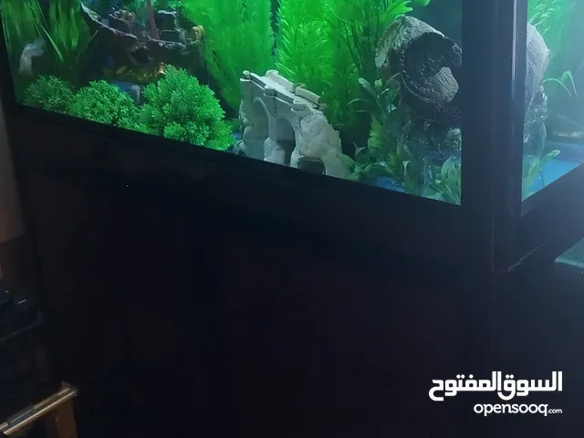 حوض شركة كاي اصلي نظيف نوع سامب اصلي