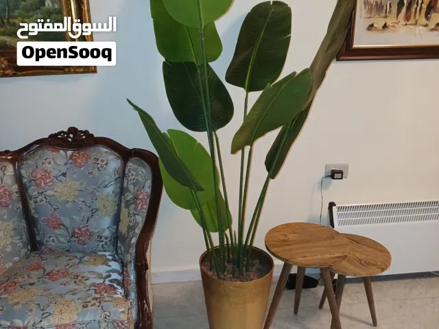زريعة زينة اصطناعية داخلية داخل البيوت ومداخل الصالونات والمنازل مع قوار فيبر مقوى واحجار ممتازة
