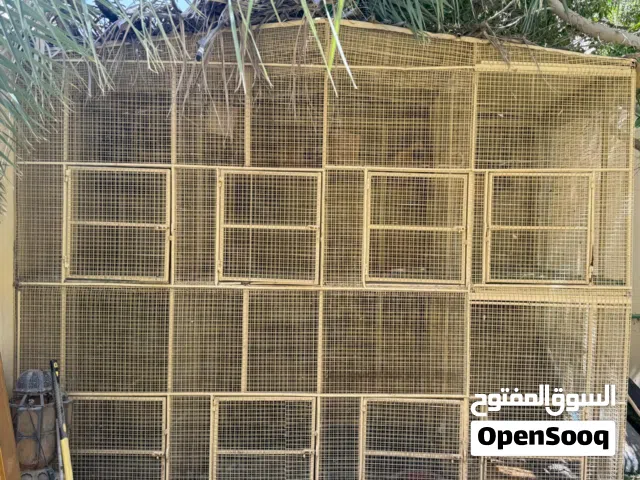 للبيع قفص ممتاز