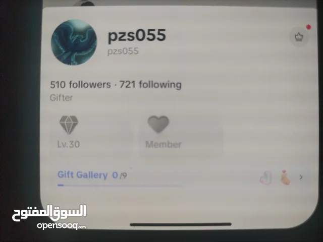 TikTok I'd UAE account