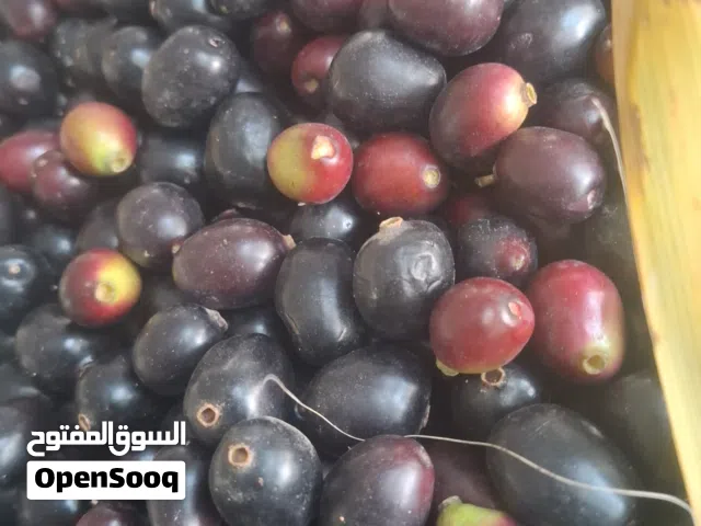 زام حجم كبير للبيع