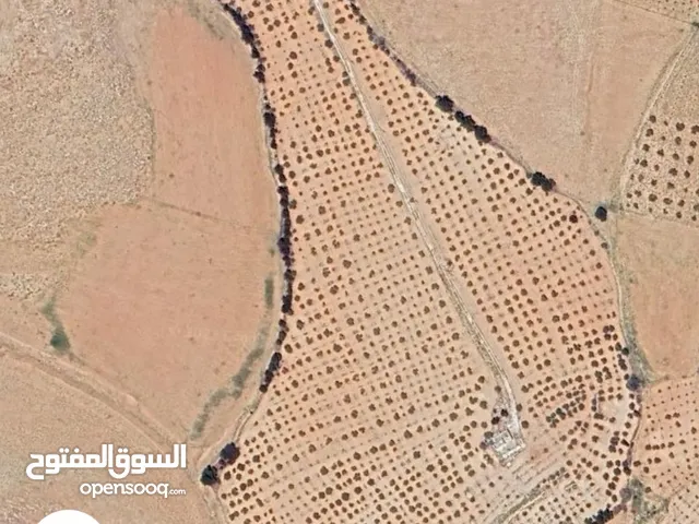 Farm Land for Sale in Madaba Dalilet Al-Hamaideh