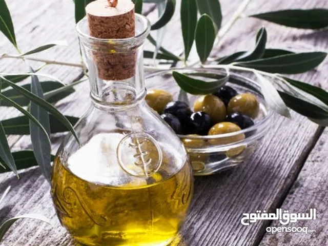 زبت زبتون فلسطين موسم جديد