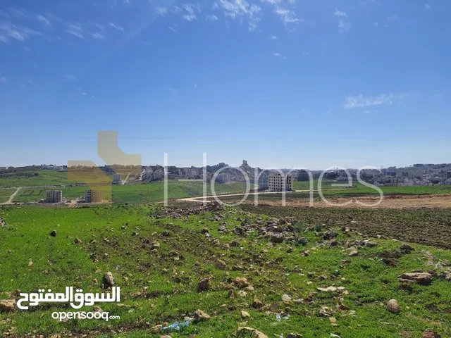 Residential Land for Sale in Amman Hjar Al Nawabilseh