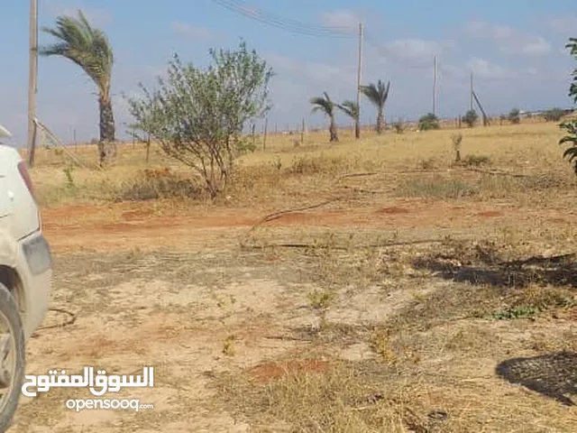 Farm Land for Sale in Benghazi Sidi Khalifa