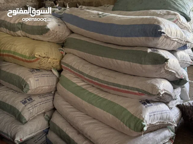 للبيع تمر نفيعة