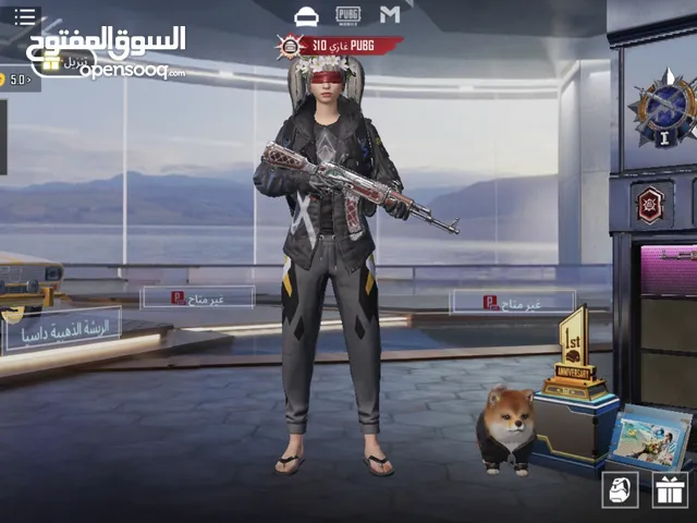 Pubg Accounts and Characters for Sale in Amman